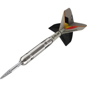 Set strelica TARGET steel Swis Point Dimitri Van Den Bergh Gen2 23g, 90% wolfram