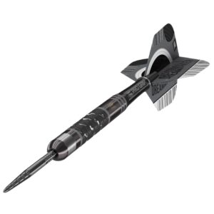 Set strelica steel Target Dimitri Van Den Bergh x Echo 22g SP, 90% wolfram
