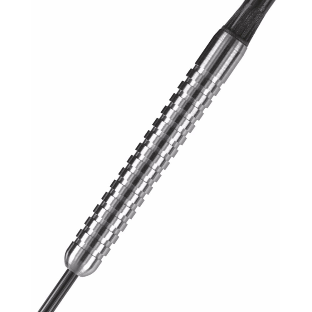 Harrows set steel Assassin 20g, 80% wolfram - Slika 2