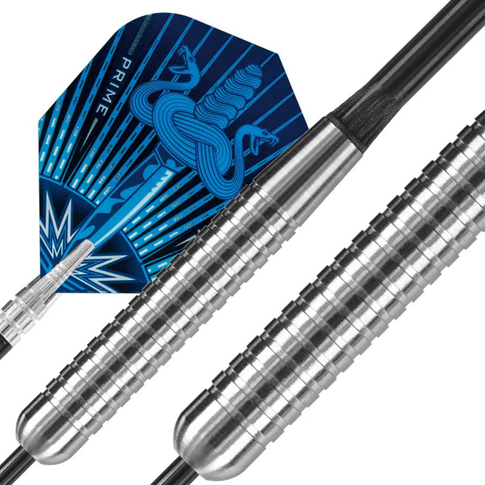 Harrows set steel Assassin 25g, 80% wolfram - Slika 4