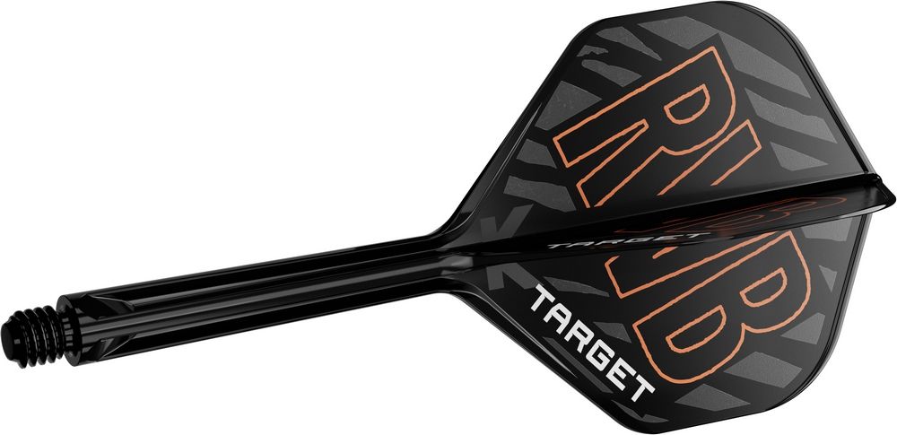 Pikado pero i telo Target K-Flex Raymond van Barneveld, No2 pera,medium tela - Slika 3