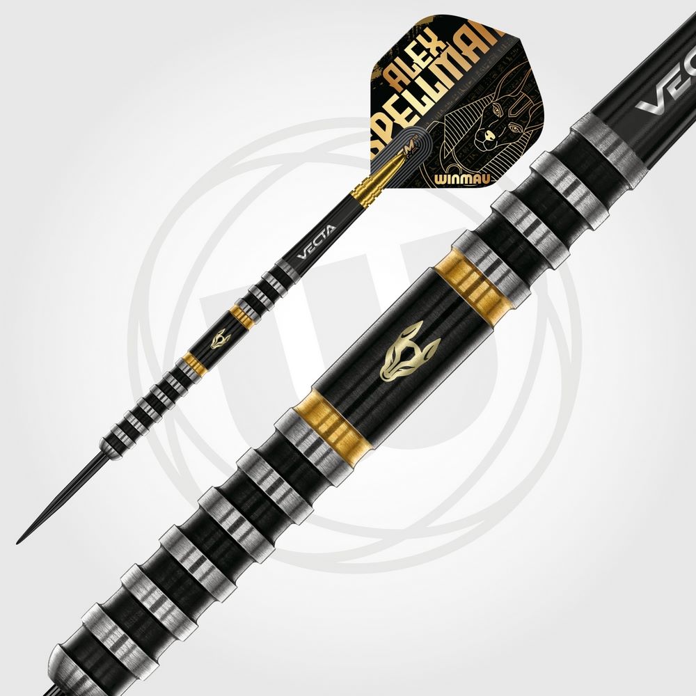 Set strelica steel Winmau Alex Spellman, 24g 90% wolfram - Slika 6
