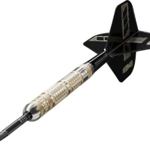 Set strelica steel Target Dimitri Van Den Bergh 95K 22g SP 95% wolfram
