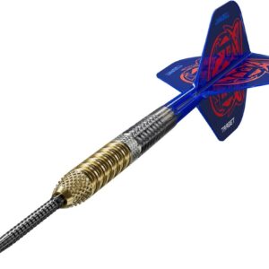 Set strelica steel Target Raymond Van Barneveld G6 21g SP 95% wolfram