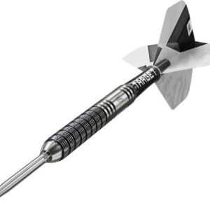 Set strelica steel Target Beau Greaves G1 25g SP 90% wolfram