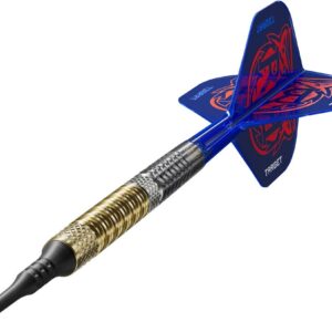 Set strelica soft Target Raymond Van Barneveld G6 18g 95% wolfram