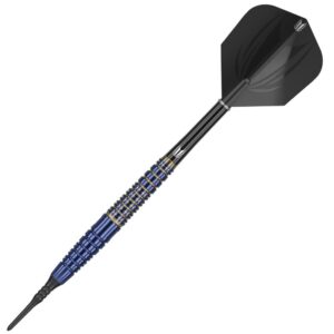 Set strelica soft TARGET JAPAN Paul Lim,17g, brass