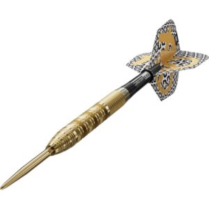 Set strelica steel Target Bolide Envy 01 22g SP 90% wolfram