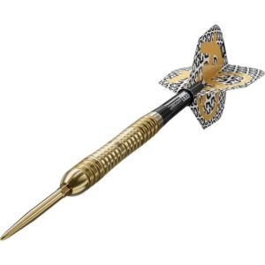 Set strelica steel Target Bolide Envy 04 21g SP 90% wolfram