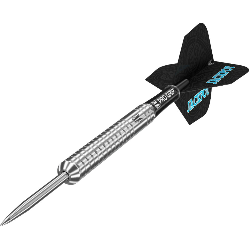 Target set Adrian Lewis G4 2019 24g, 90% wolfram - Slika 2
