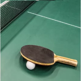 Stoni Tenis