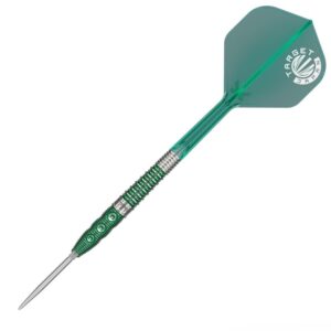 Set strelica steel Target Japan Motomu Sakai Xeno G1 25g SP 90% wolfram