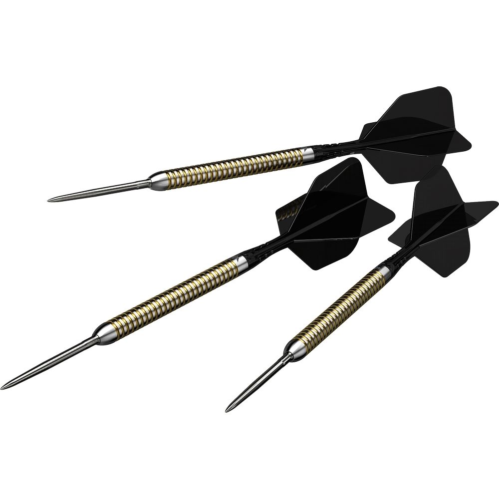 Set strelica steel Mission R2.5 Rapid Points Mike De Decker, 22g 95% wolfram - Slika 2