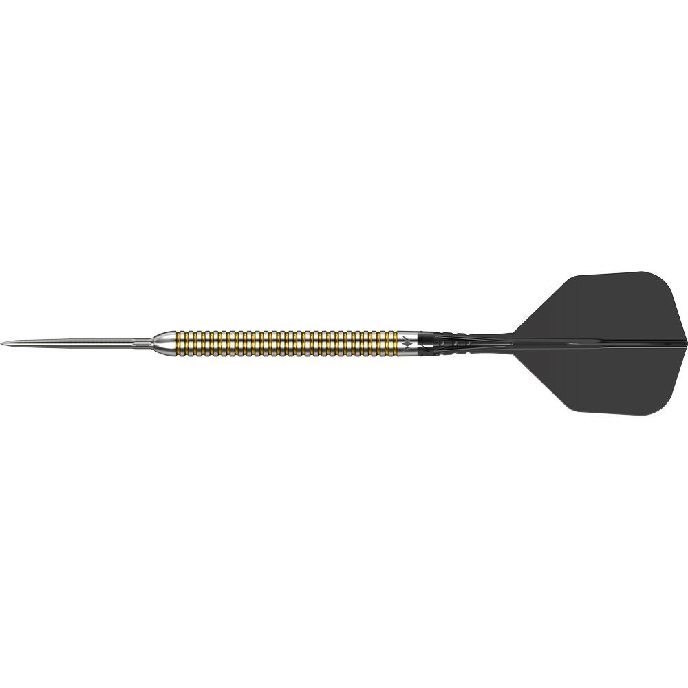 Set strelica steel Mission R2.5 Rapid Points Mike De Decker, 24g 95% wolfram - Slika 3