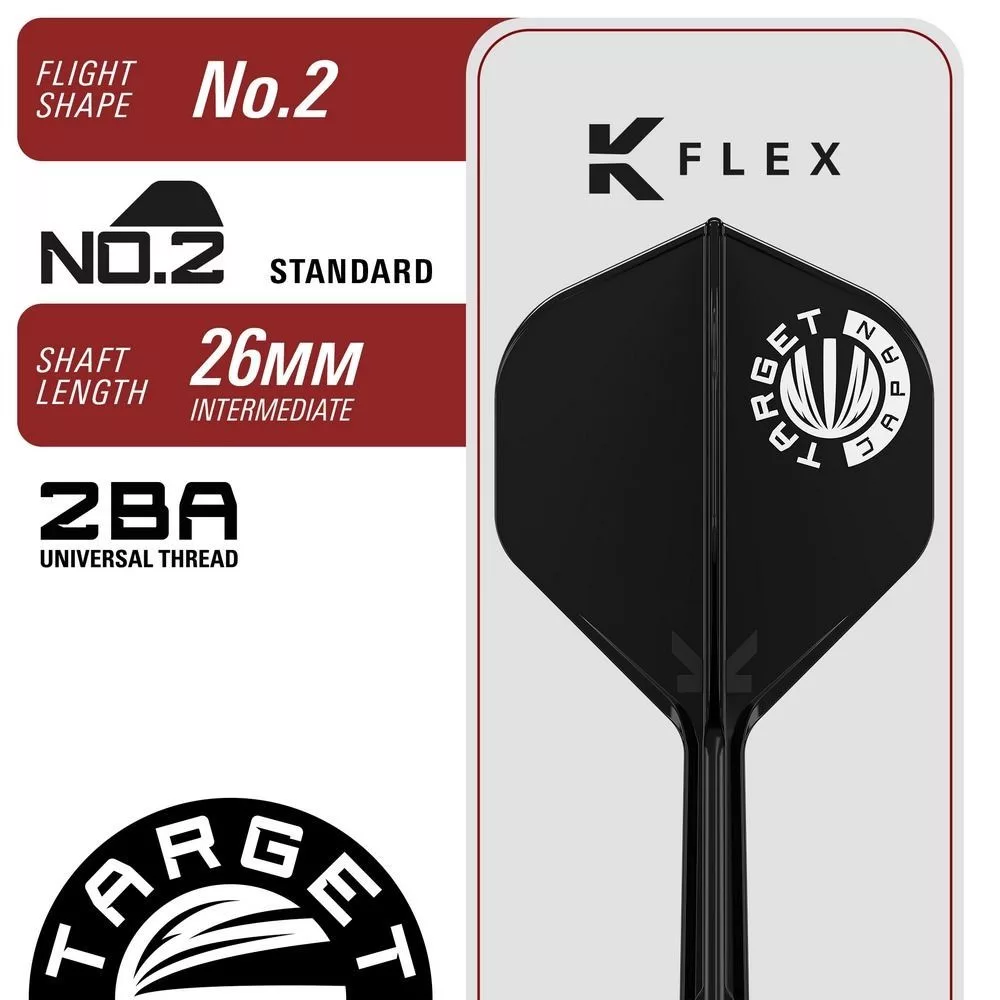 Set strelica steel TARGET JAPAN Mitsumasa Hoshino Pyro G12, 25g 90% wolfram - Slika 3